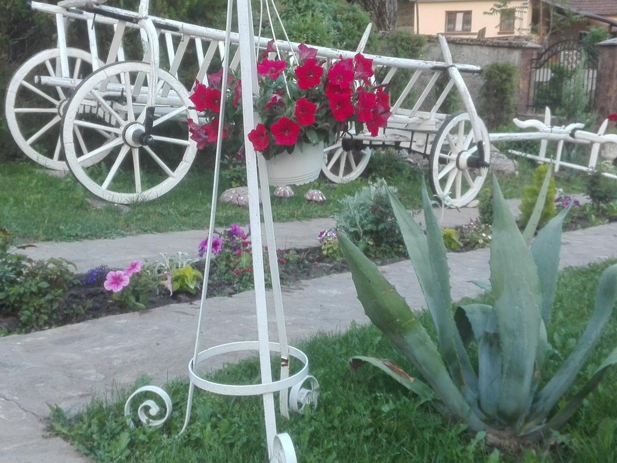 Casa De Vacanta Silvia Varmaga Ngoại thất bức ảnh